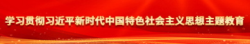 艹骚白虎学习贯彻习近平新时代中国特色社会主义思想主题教育